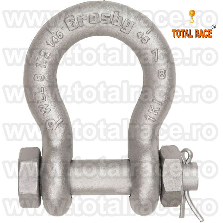 G2130A CHEIE TACHELAJ GAMBETI SHACKLES CROSBY 03