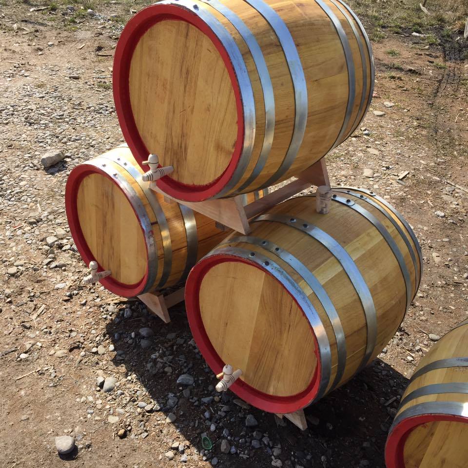 18136819_773263056174131_1515434337_n