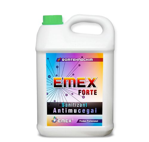 Solutie-indepartare-igrasie-si-mucega