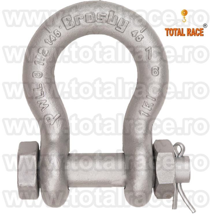 G2130A CHEIE TACHELAJ GAMBETI SHACKLES CROSBY 03