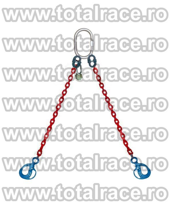 2bratedispozitivlantgrad100carligemanertrg001