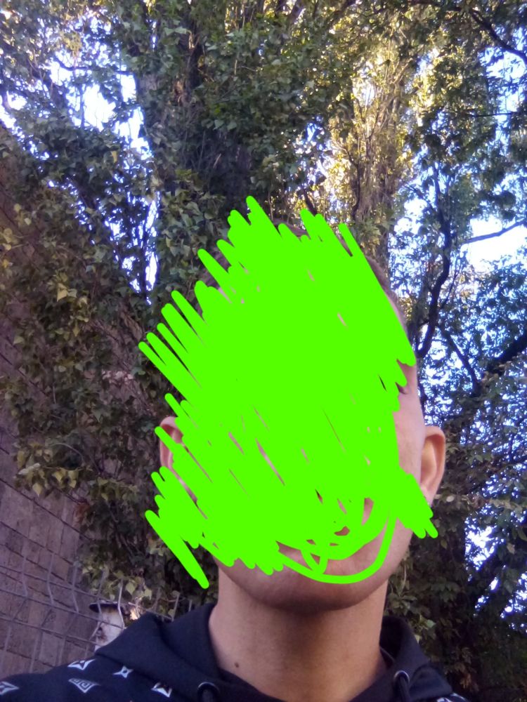 Polish_20231215_124602738